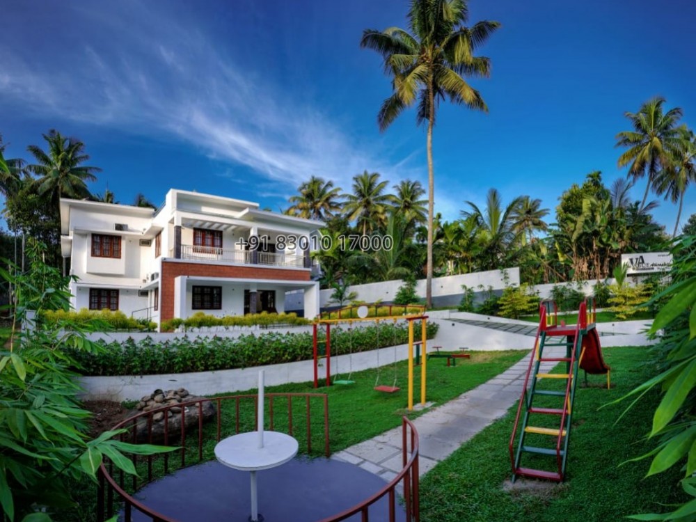 wild Palm Escape